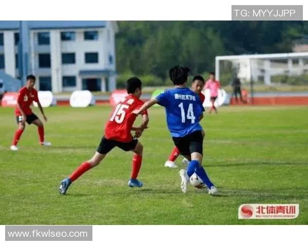 刘静专访：回顾足球历程