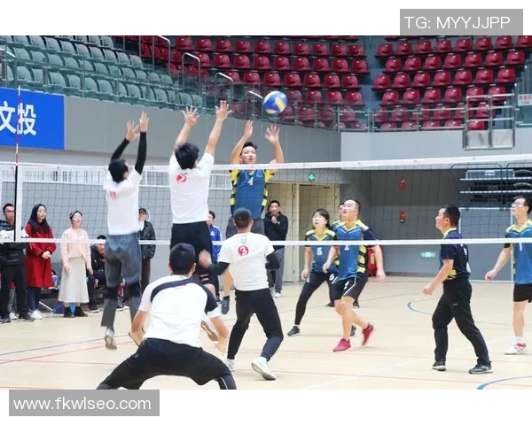 权威发布：排球速度实力榜单