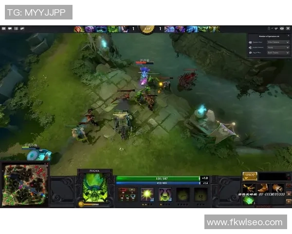 DOTA2纪实：记录TES的成长故事