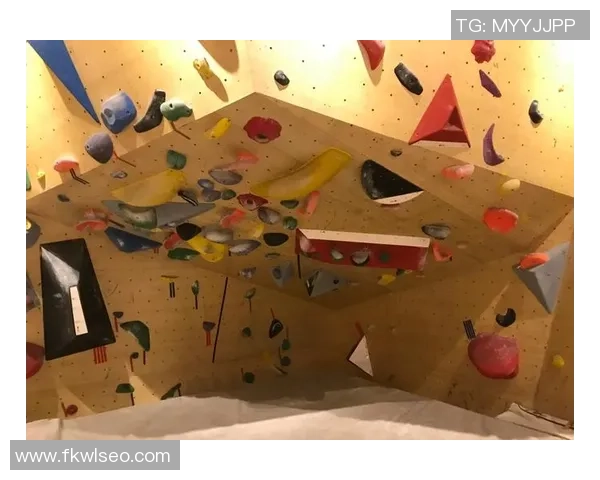 攀岩新手攻略：配合入门指南